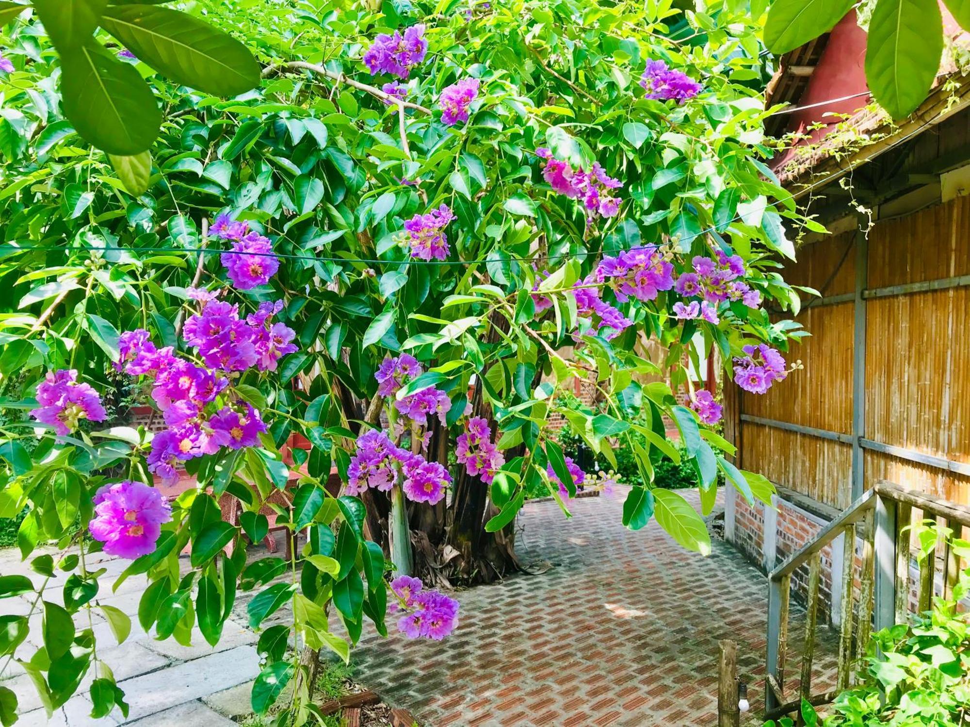 Lake Retreat Ninh Binh Eksteriør billede