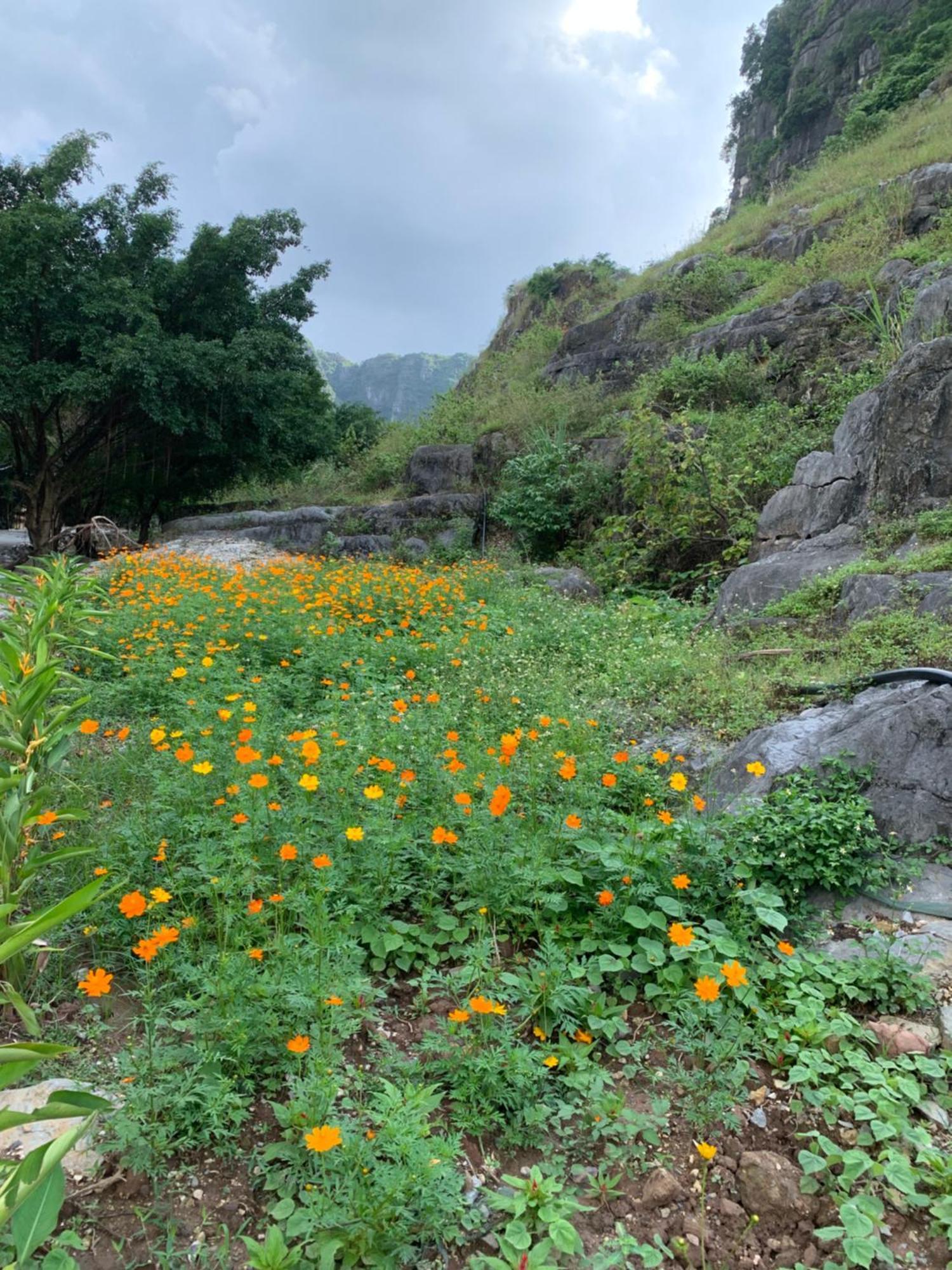 Lake Retreat Ninh Binh Eksteriør billede